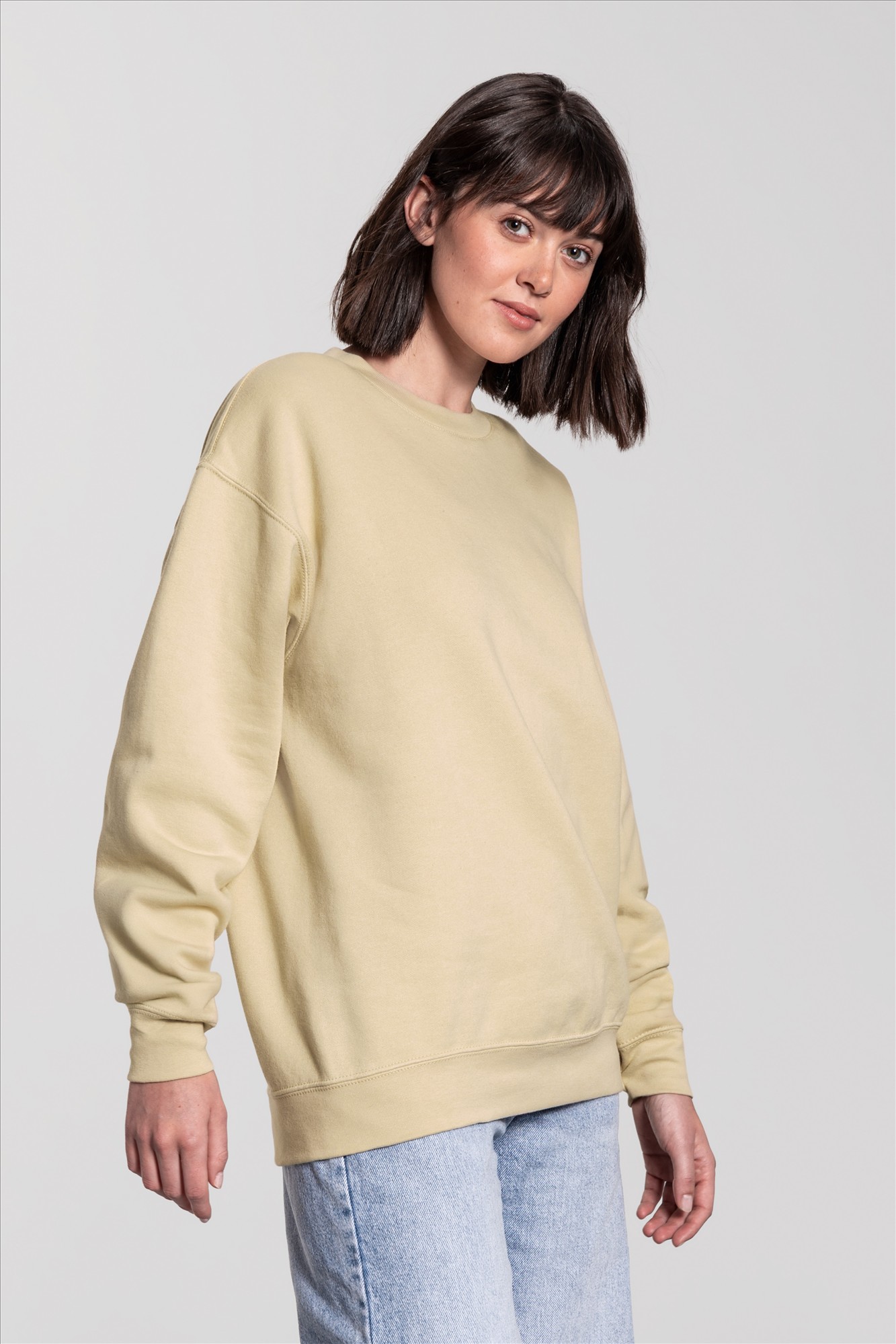 Fruit of the Loom Iconic Premium Set-In Sweat — afbeelding 4