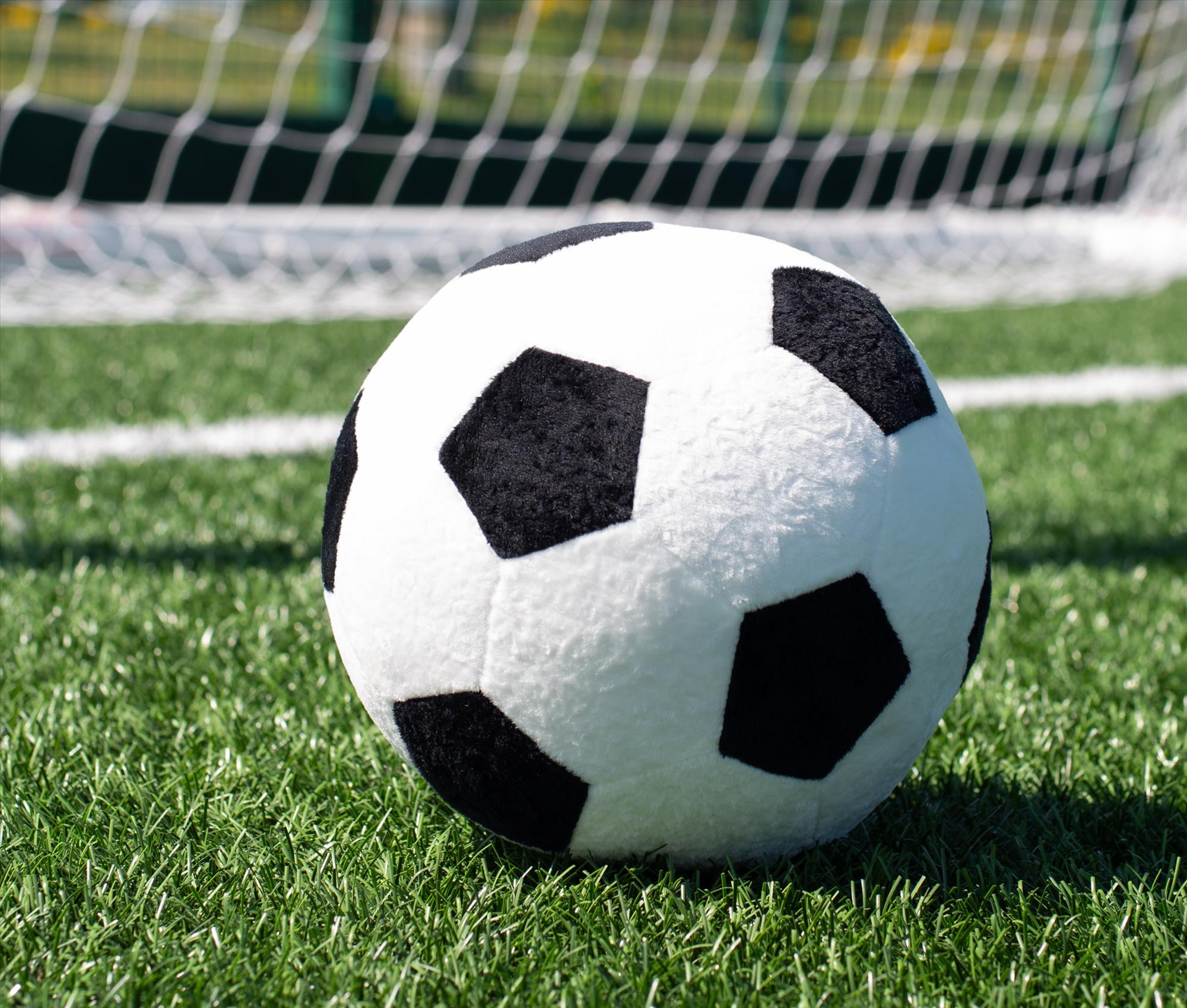 MUMBLES ZIPPIE FOOTBALL bedrukken met eigen logo