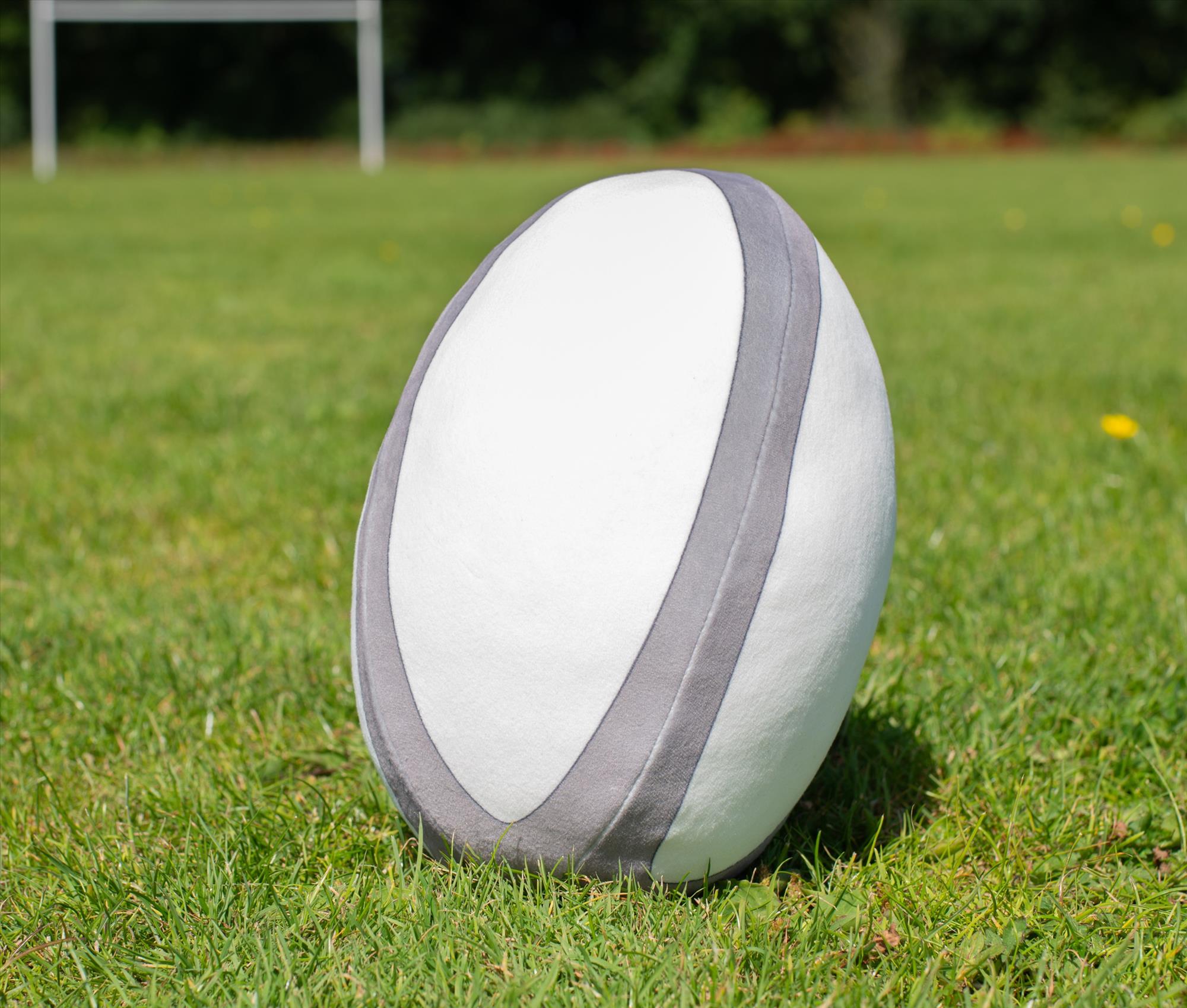 MUMBLES ZIPPIE RUGBY BALL bedrukken met eigen logo