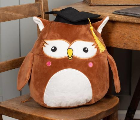 SQUIDGY WISE OWL MUMBLES MM806